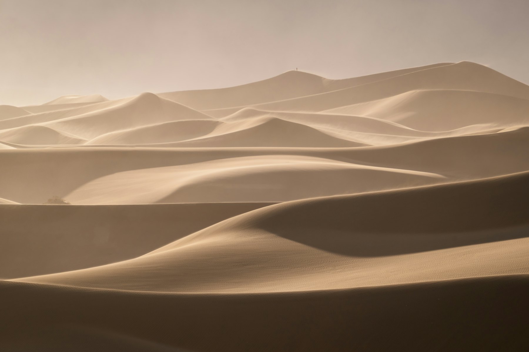 Wind-carved dunes of the Gobi desert at dusk